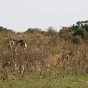ZA0478