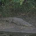 ZA0590