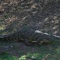 ZA0592