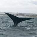 ZA0893