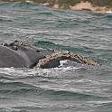 ZA0899