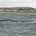 ZA0901