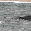 ZA0902