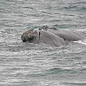 ZA0903