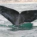 ZA0911