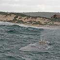 ZA0914